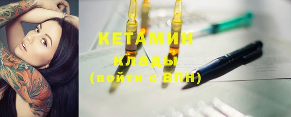шишки Абаза