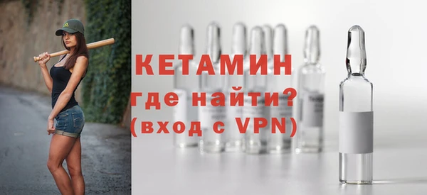 шишки Абаза
