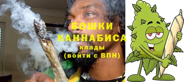 шишки Абаза