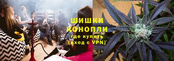 шишки Абаза