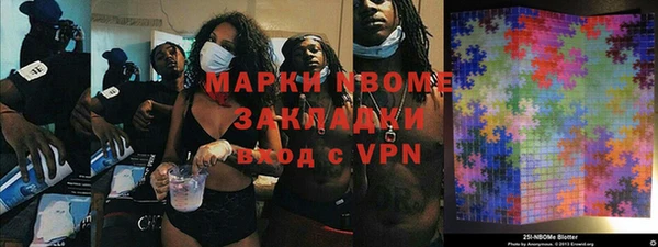 шишки Абаза